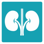 Nephrology